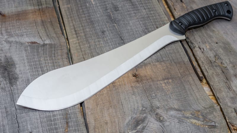 Žena na Sokolovsku rozřezala kotě mačetou, hrůzné video pak poslala kamarádce