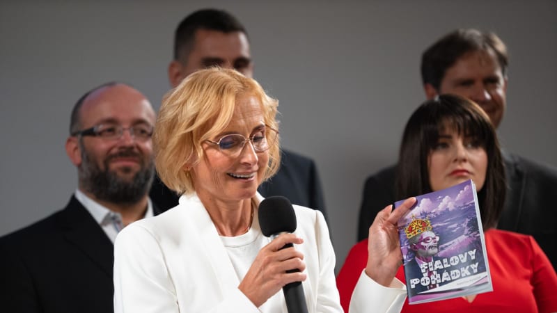 Stačilo! a SPD jsou nepřiznané koalice, rozhodl další soud. Kandidátky však nezrušil