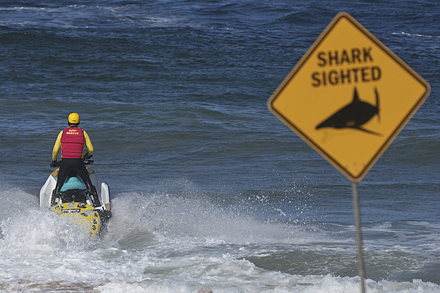 Žralok napadl surfaře u Sydney, muž zraněním podlehl. Úřady uzavřely pláže