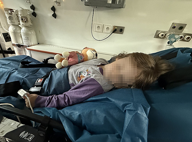 Posílali ji na psychiatrii, měla zánět mozku. Klíšťata letos nakazila rekordní počet lidí