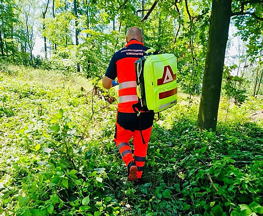 Zrádná záměna. Žena si spletla borůvky s jedovatým rulíkem, skončila v nemocnici