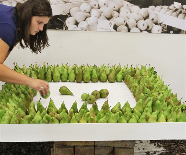 Hlavně ať je počasí. Začíná Zahrada Čech, loni ji překazil extrémní vítr