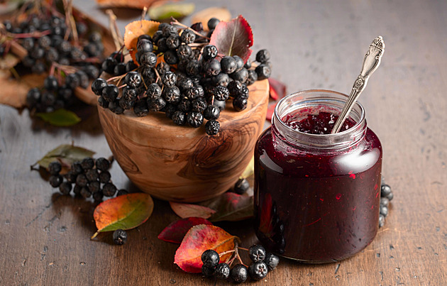 Má temné léčivé plody ideální na zpracování a na podzim se krásně vybarví