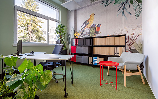 Kanceláře v Brně jsou plné papoušků. Ženy ocení nábytek na kolečkách