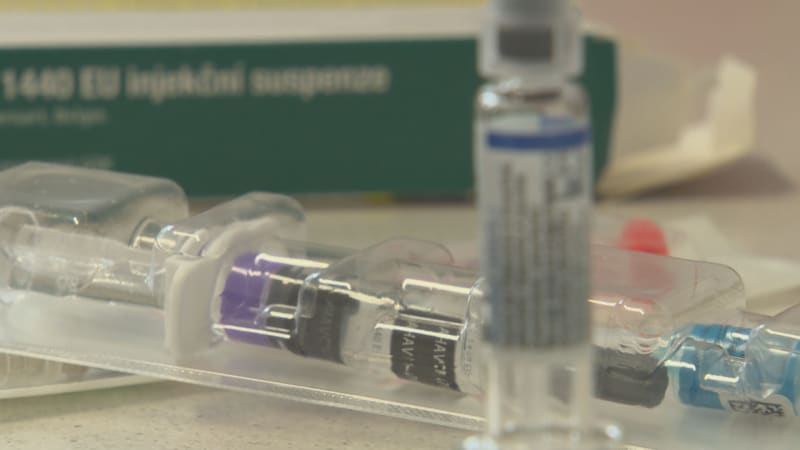 Českem se šíří žloutenka typu A. Vláda chystá bezplatné očkování