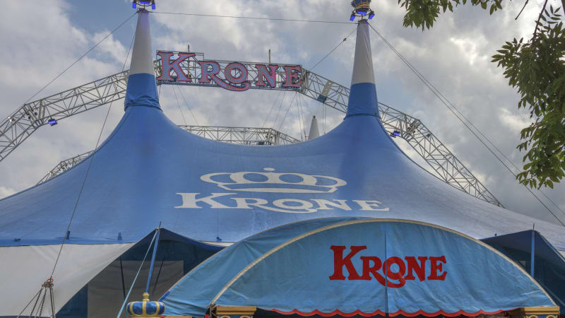 Mohlo za to vyčerpání a stres. Matka akrobatky, která zemřela při představení, viní cirkus