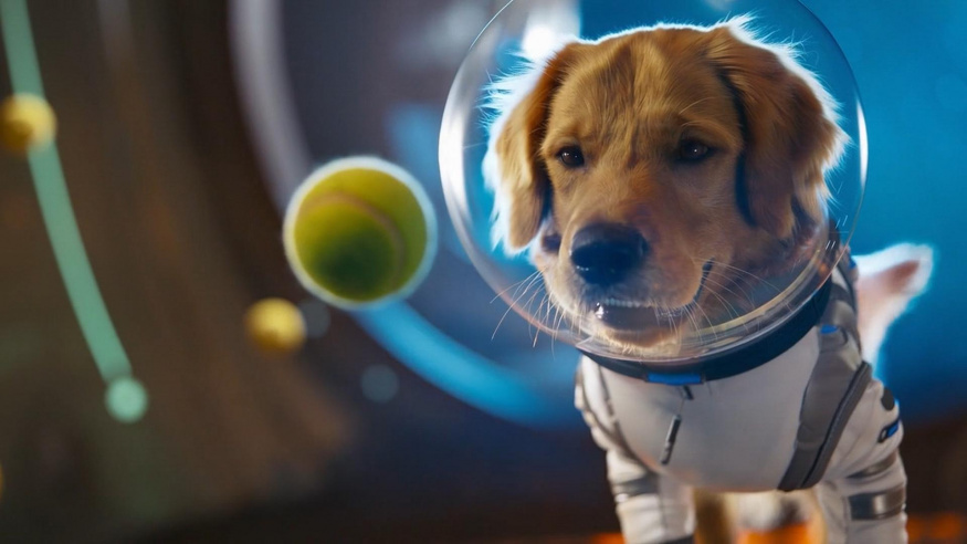 OpenAI spouští vlastní sociální síť! Díky AI Sora 2 a dokáže generovat neskutečně realistická videa