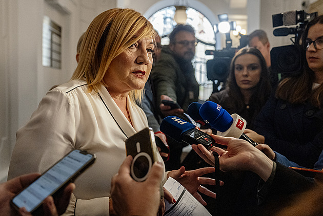 Berete si zemi jako rozpočtové rukojmí, tepe vládu Schillerová. Apeluje i Kalousek