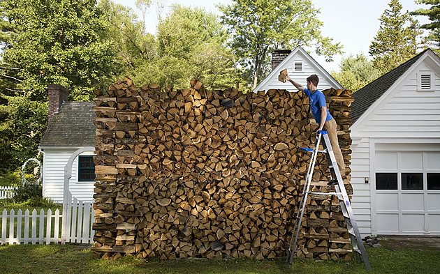 To vyskládané dřevo snížíte. Stíní mi skleník, zuří sousedka. Má na to právo?