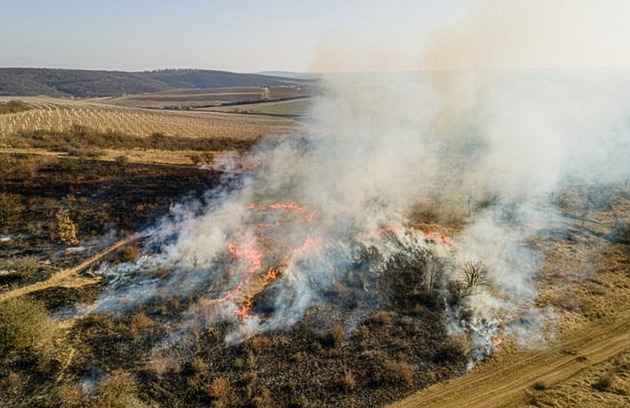 Když oheň v přírodě místo ničení pomáhá. Na Pálavě a v Podyjí oživuje staré byliny