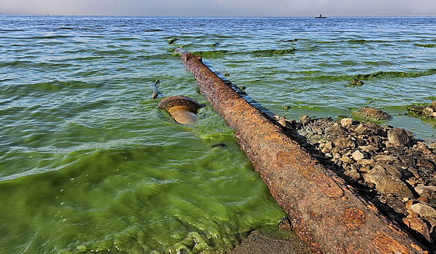 Výpusti kazí vodu v lipenské přehradě, ukázaly odběry. Nejvíc u Frymburka