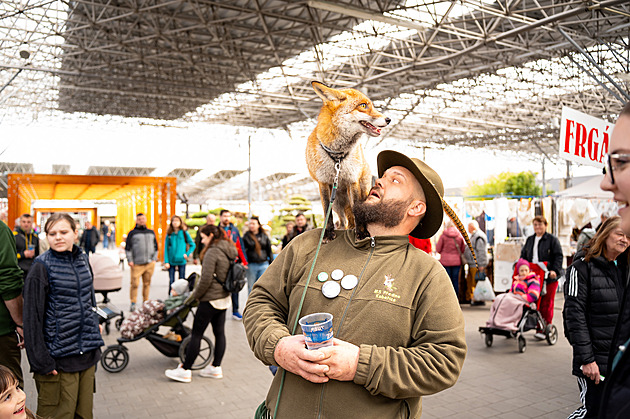 Výstava Myslivost a příroda v Kroměříži představí trofeje i moderní výbavu