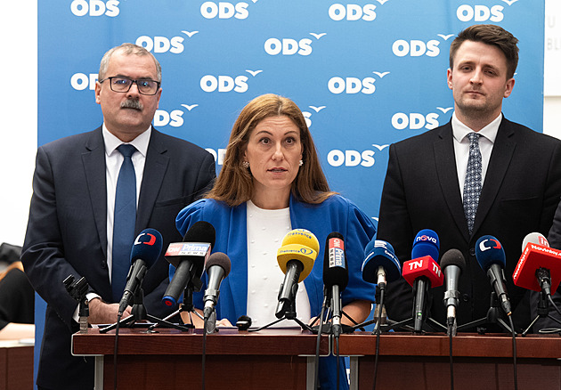 Pozice vlády je nejasná, chceme si to vyjasnit, řekl o zásahu v Íránu Žáček