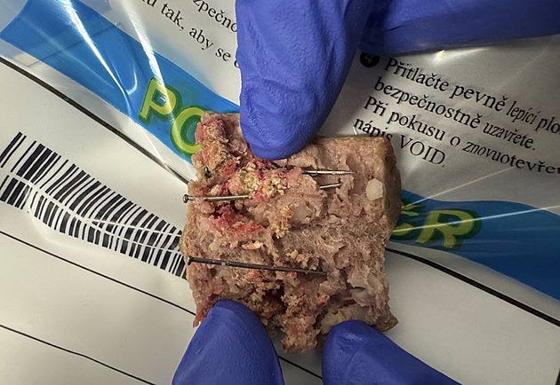 Pes sežral uzeniny se zapíchanými hřebíky a neznámou látkou, šlo mu o život