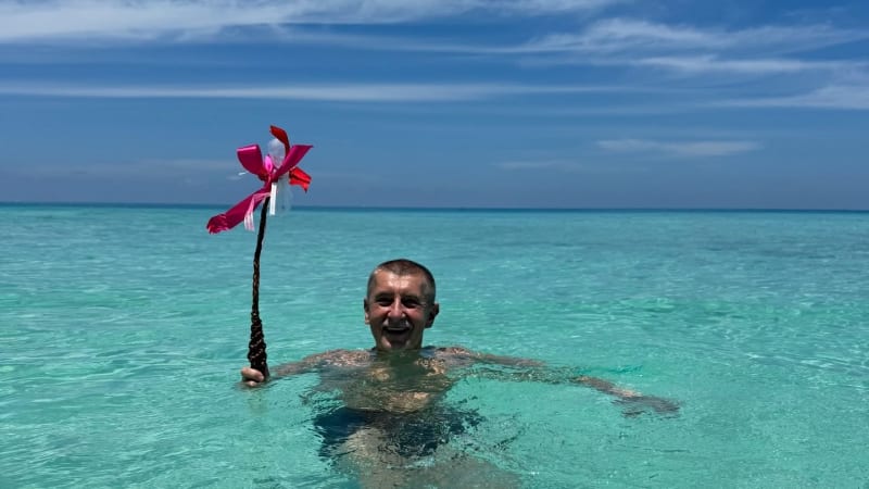 Hádka o Babiše s pomlázkou v moři. Kašle na lidi, rýpl si Zdechovský. Podle Nachera se zbláznil