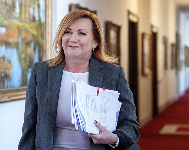 Volíme obdobný postup, jaký byl zvolen v roce 2022, hájí Schillerová regulaci cen