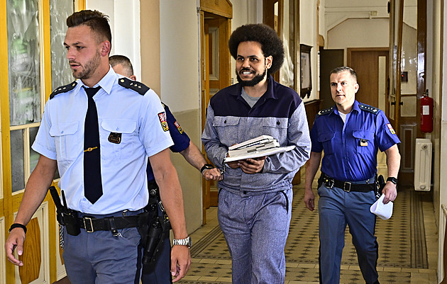 Exposlanec Feri jde na svobodu, soud vyhověl žádosti o propuštění z vězení